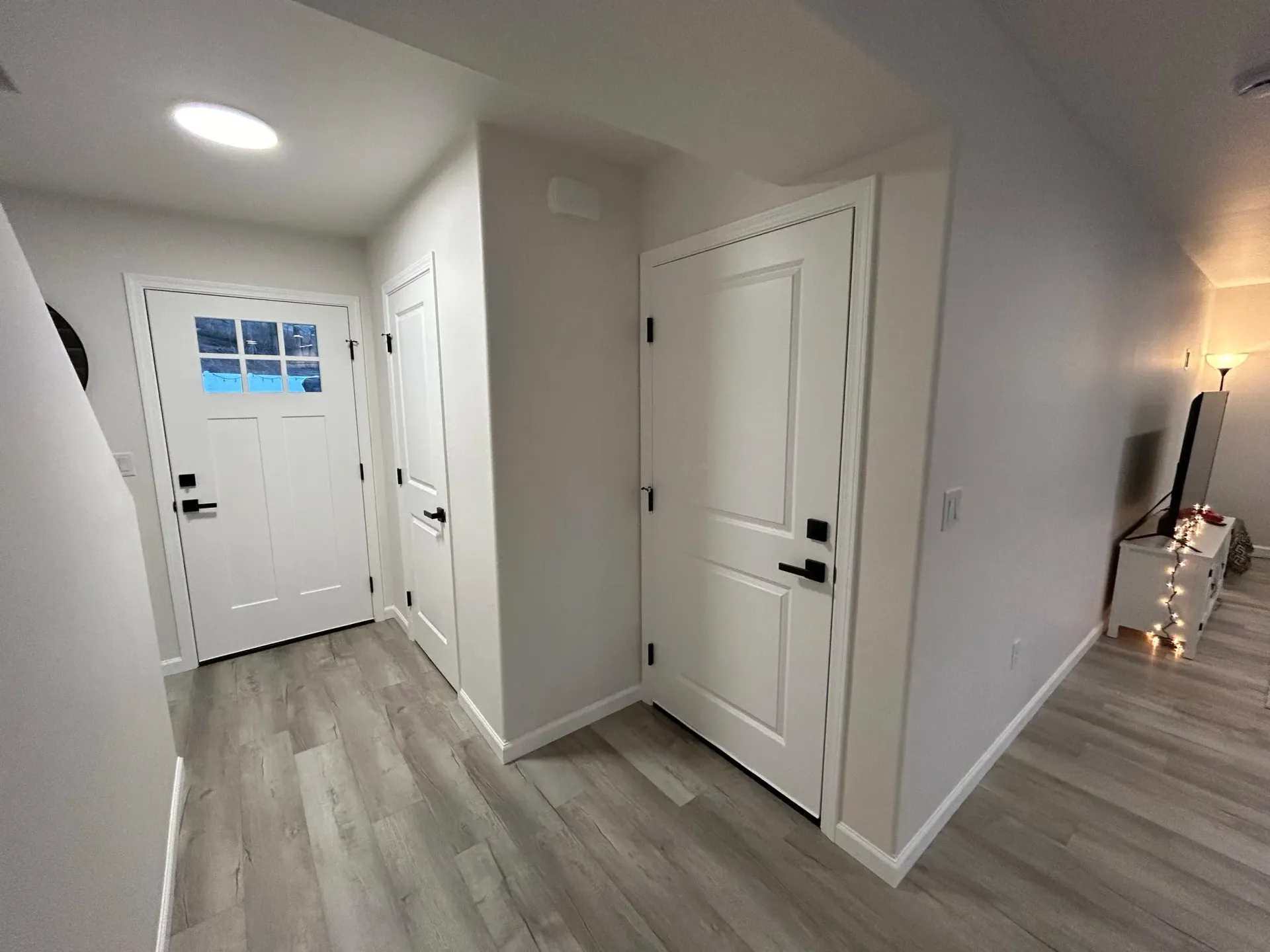 Hallway with three white doors, one with a window, and wood-look flooring.