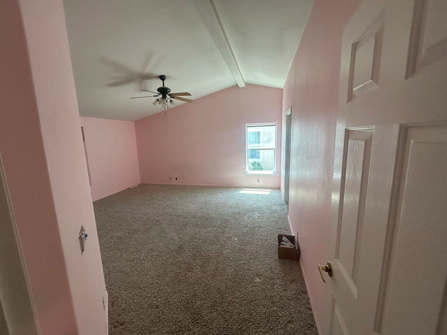Pink-painted room with textured carpet, ceiling fan, and white door.