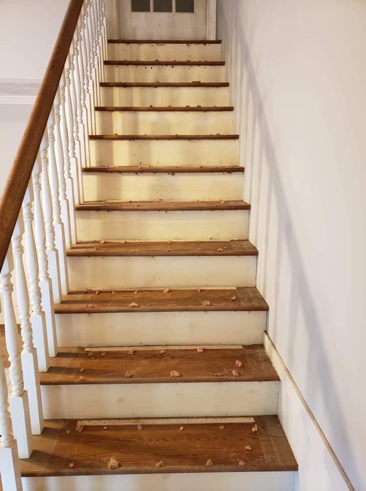 A staircase with a white railing and wooden steps