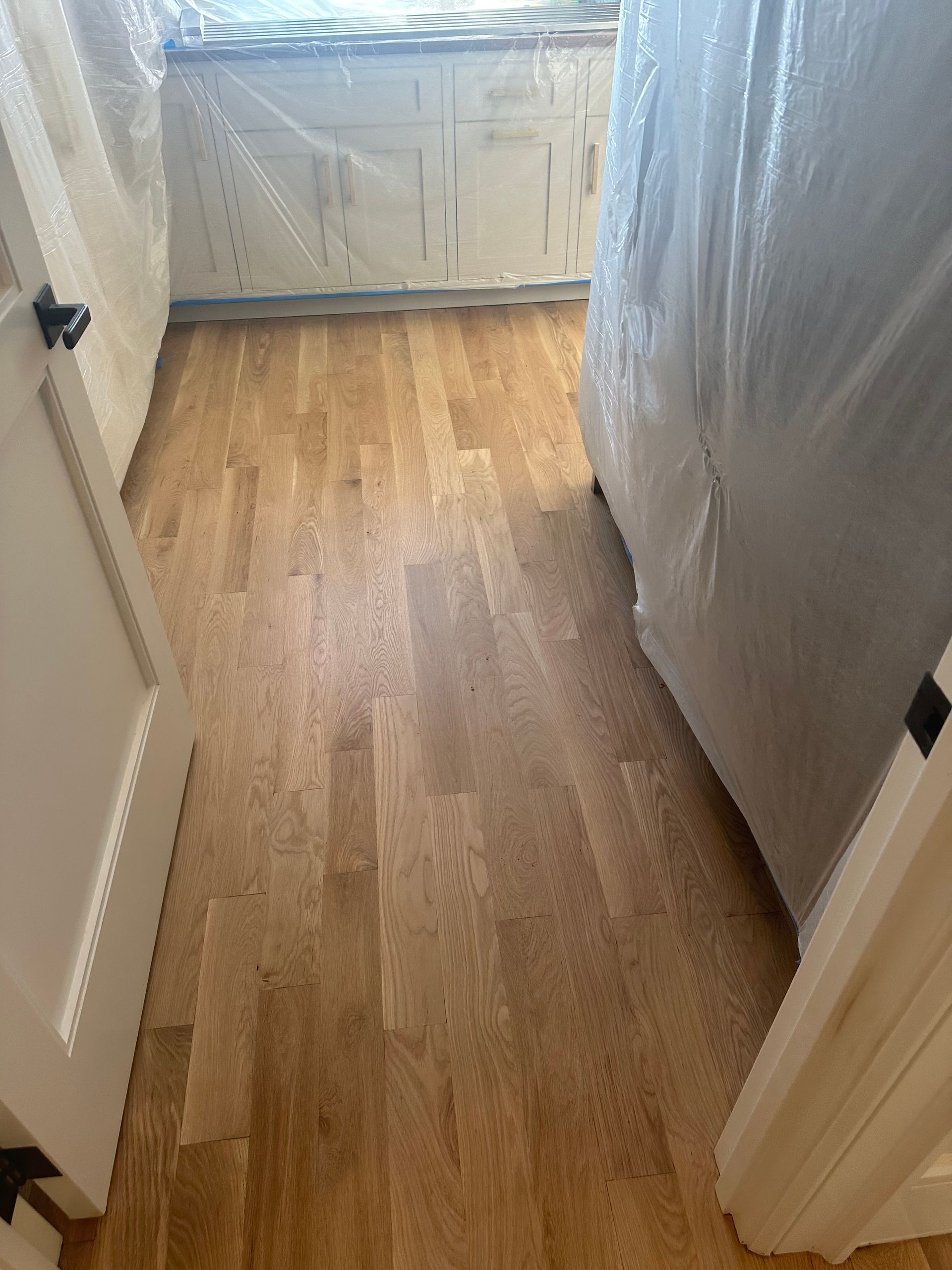 A room with a wooden floor and a white door.