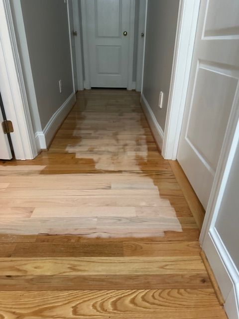A hallway with hardwood floors being painted in a house.