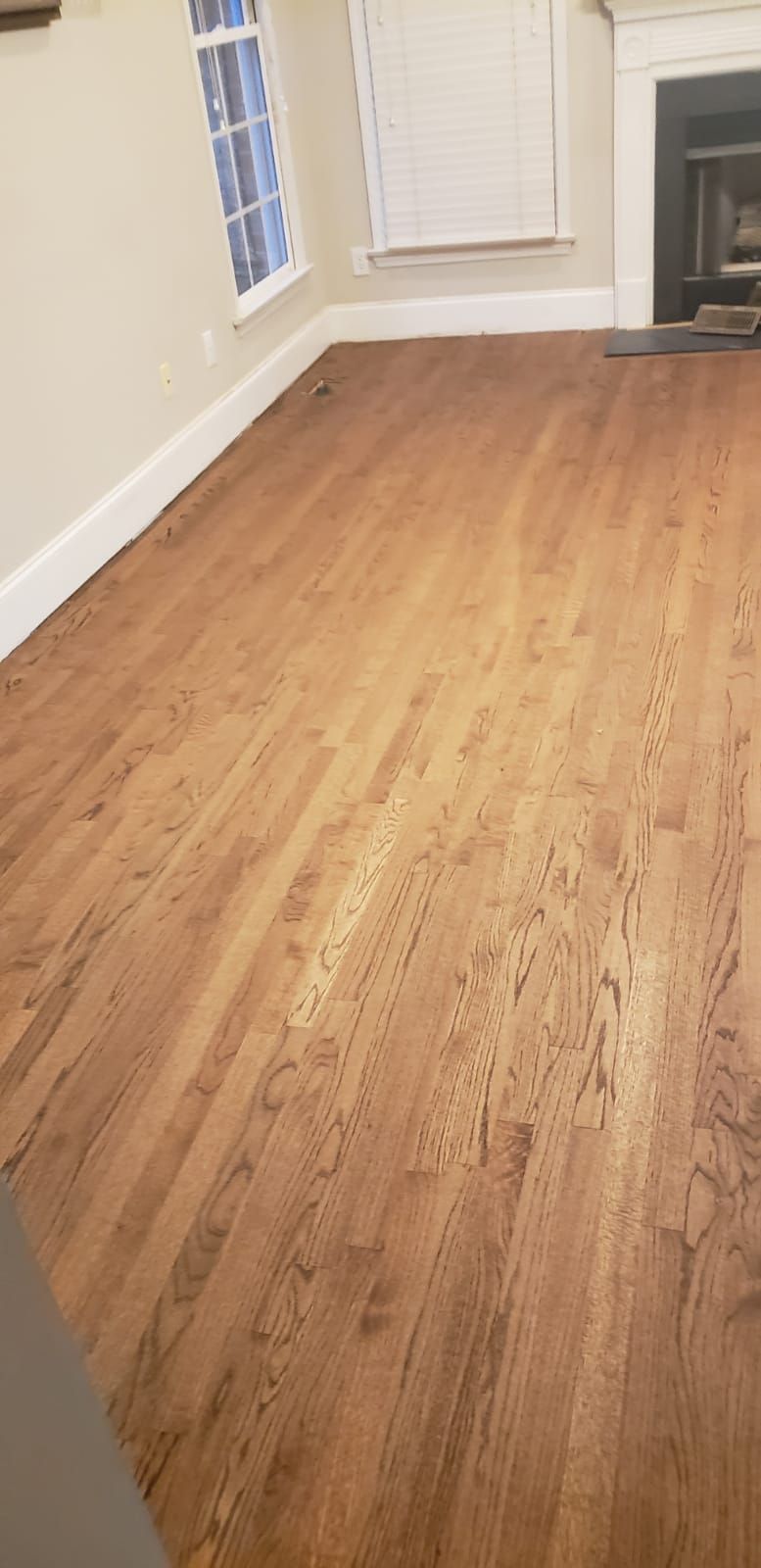 A living room with hardwood floors and a fireplace.