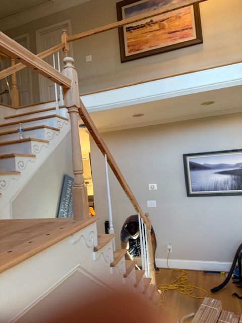 A dog is sitting on the stairs in a living room