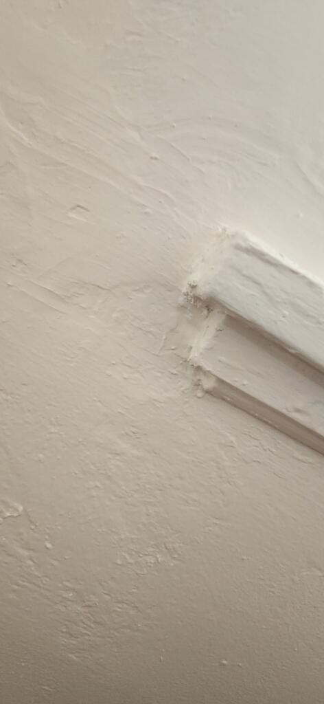 Bend OR, Santa Fe County NM, Glorieta NM, Pecos NM, Rowe NM, Ilfeld NM, San Jose NM, Serafina NM, Tecolote NM, Las Vegas NM, Cañoncito NM, Cañada de los Alamos NM, Santa Fe NM, Agua Fria NM, La Cienega NM, Algodones NM, Santa Ana Pueblo NM, Bernalillo NM, Rio Rancho NM, North Valley NM, Albuquerque NM, Interior Painting, Exterior Painting, Small Commercial, Staining, Women - Owned Painting Company, Painting, Interior Painting, Exterior Painting, Residential Painting, Mural Artist, Mural Painting, Staining, Deck Staining, Railing Staining, Cabinet Staining, Trim Staining, Specialty Painting, Furniture Painting, Furniture Staining, Furniture Oiling, Furniture Refurbishment, Small Commercial Painting, New Build Painting, New Construction Painting