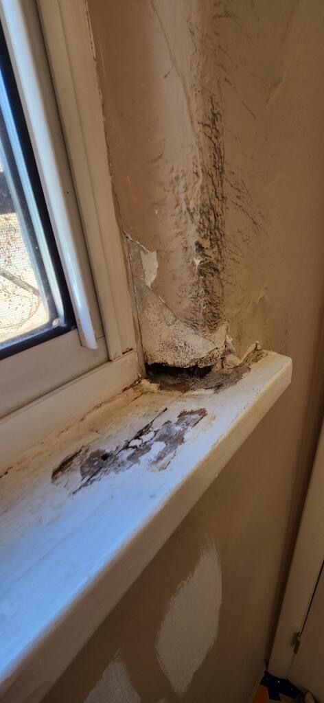 Bend OR, Santa Fe County NM, Glorieta NM, Pecos NM, Rowe NM, Ilfeld NM, San Jose NM, Serafina NM, Tecolote NM, Las Vegas NM, Cañoncito NM, Cañada de los Alamos NM, Santa Fe NM, Agua Fria NM, La Cienega NM, Algodones NM, Santa Ana Pueblo NM, Bernalillo NM, Rio Rancho NM, North Valley NM, Albuquerque NM, Interior Painting, Exterior Painting, Small Commercial, Staining, Women - Owned Painting Company, Painting, Interior Painting, Exterior Painting, Residential Painting, Mural Artist, Mural Painting, Staining, Deck Staining, Railing Staining, Cabinet Staining, Trim Staining, Specialty Painting, Furniture Painting, Furniture Staining, Furniture Oiling, Furniture Refurbishment, Small Commercial Painting, New Build Painting, New Construction Painting