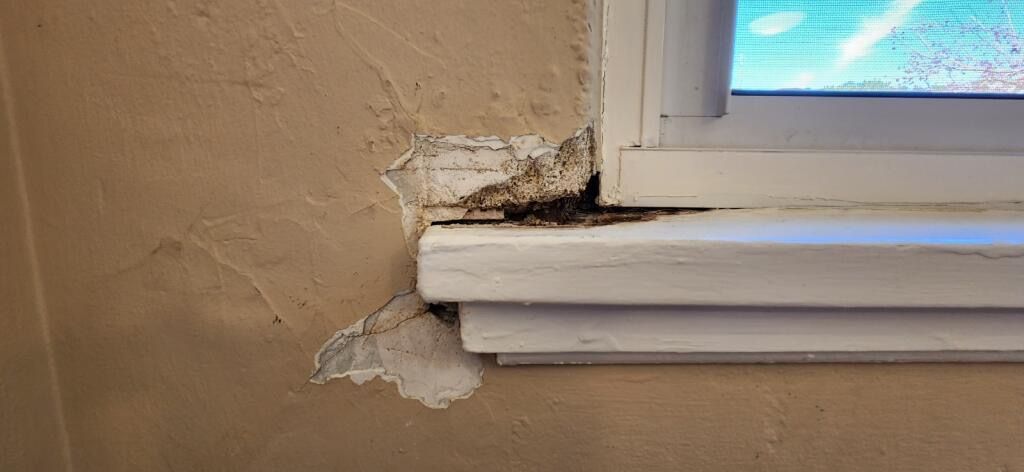 Bend OR, Santa Fe County NM, Glorieta NM, Pecos NM, Rowe NM, Ilfeld NM, San Jose NM, Serafina NM, Tecolote NM, Las Vegas NM, Cañoncito NM, Cañada de los Alamos NM, Santa Fe NM, Agua Fria NM, La Cienega NM, Algodones NM, Santa Ana Pueblo NM, Bernalillo NM, Rio Rancho NM, North Valley NM, Albuquerque NM, Interior Painting, Exterior Painting, Small Commercial, Staining, Women - Owned Painting Company, Painting, Interior Painting, Exterior Painting, Residential Painting, Mural Artist, Mural Painting, Staining, Deck Staining, Railing Staining, Cabinet Staining, Trim Staining, Specialty Painting, Furniture Painting, Furniture Staining, Furniture Oiling, Furniture Refurbishment, Small Commercial Painting, New Build Painting, New Construction Painting