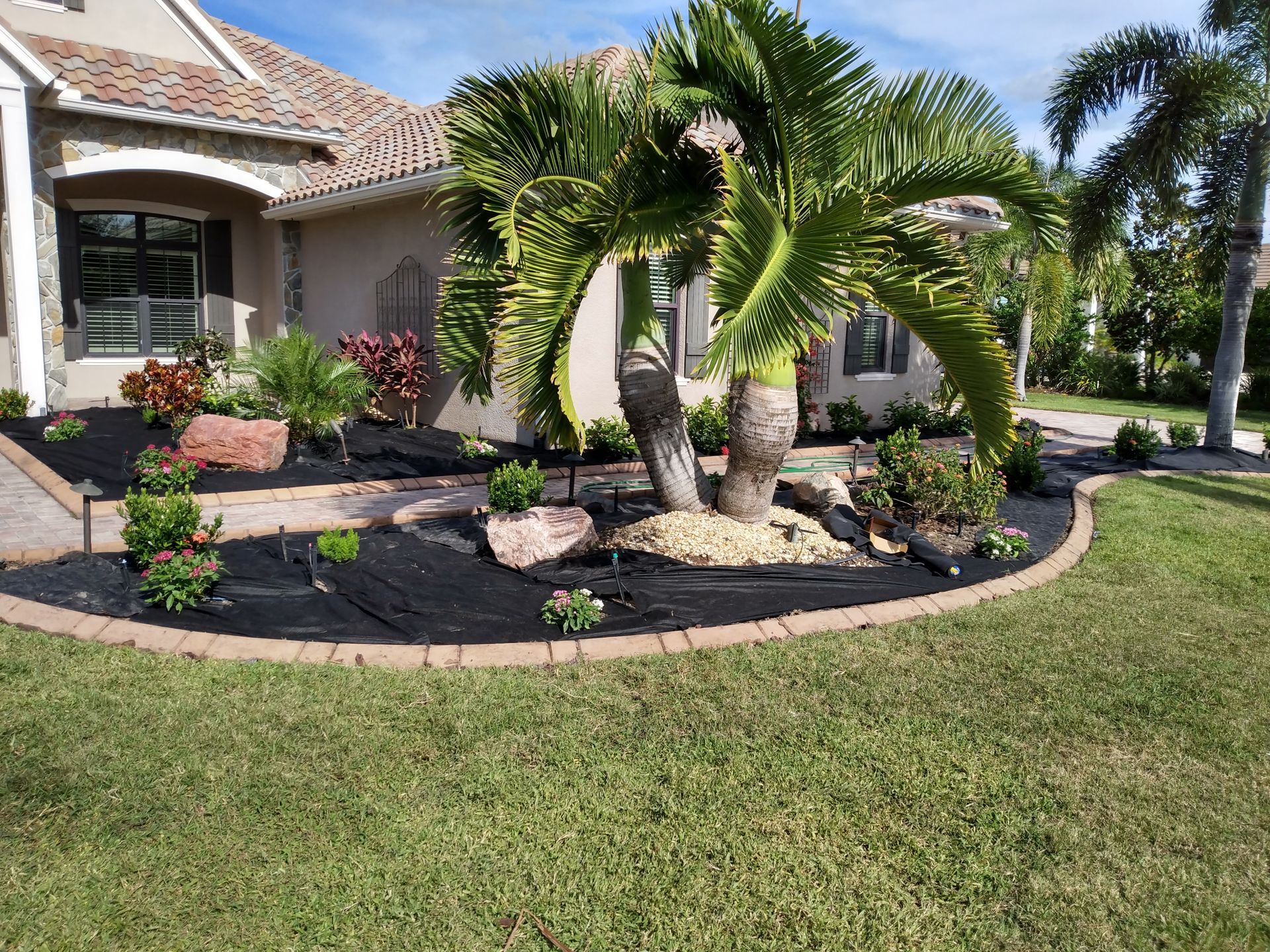 Garden maintenance tips for humid climates