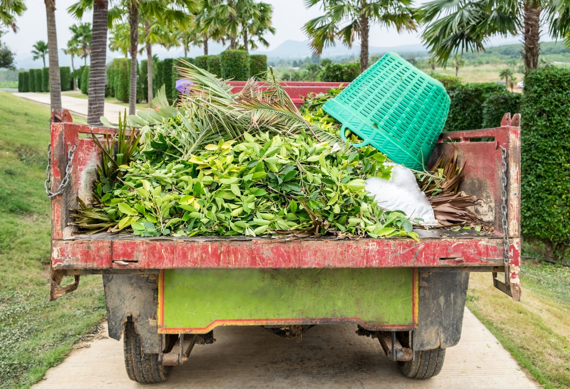 Bradenton lawn care advice for St. Augustine grass