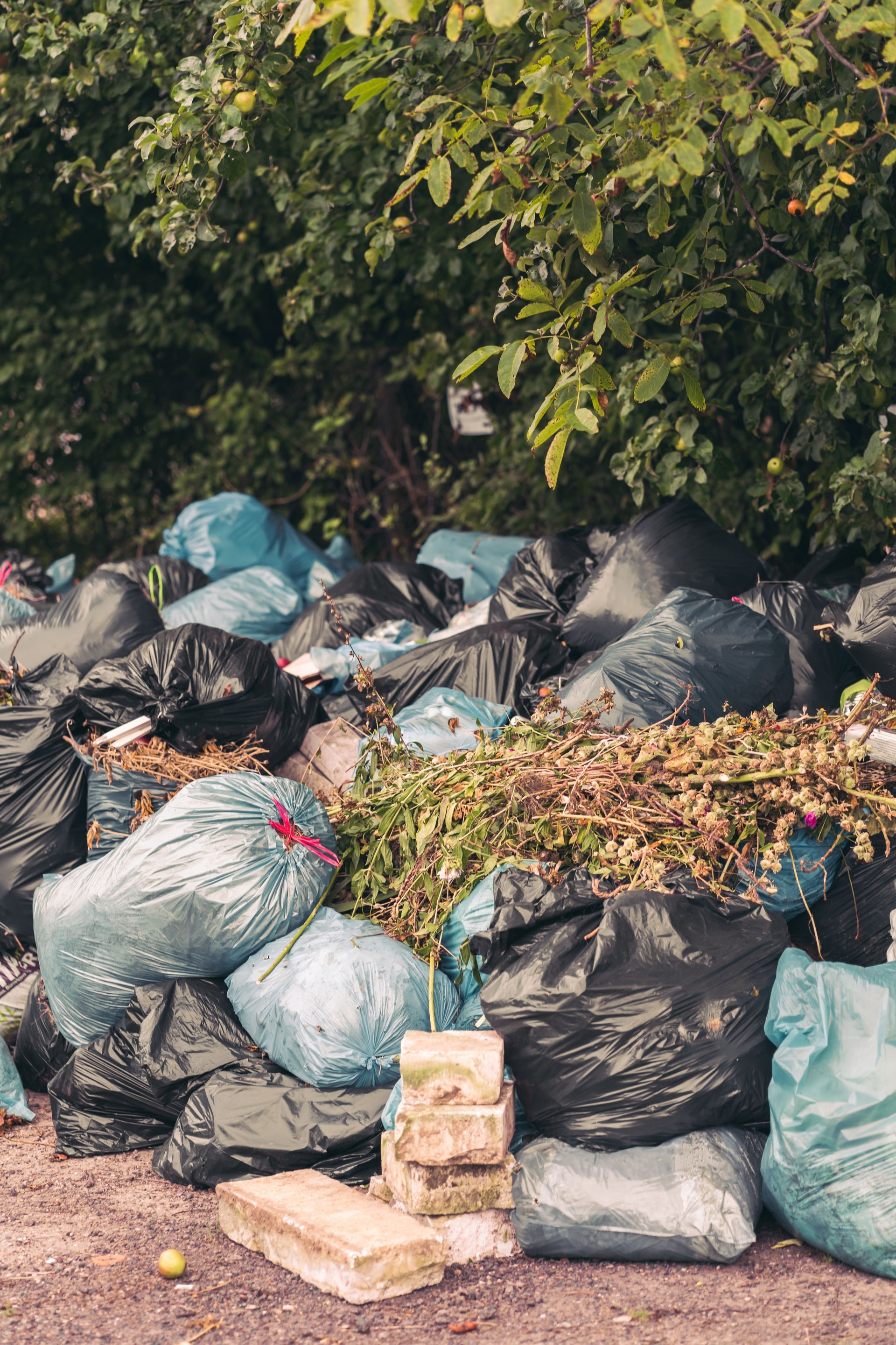 Yard waste hauling after storm cleanup