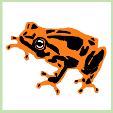 bloemencorso reisvenne oranje