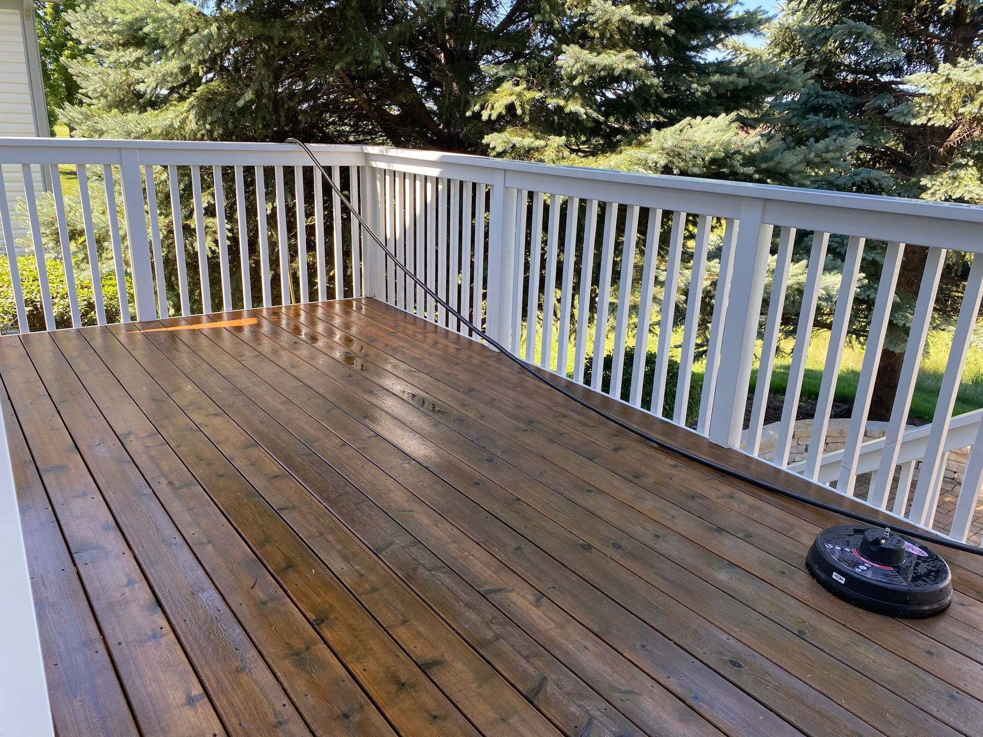 A wooden deck freshly stained in a dark brown finish with a surface cleaner attached to a hose on the floor.