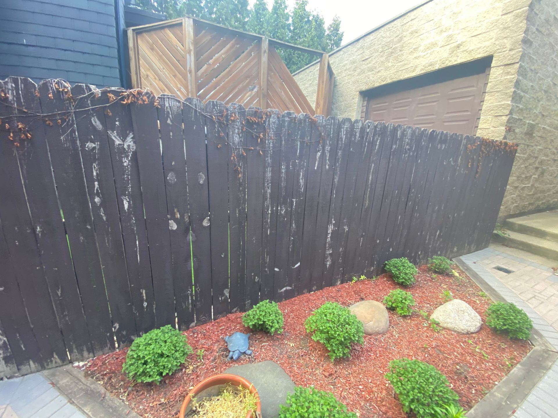A black wooden privacy fence bordering a garden bed with red mulch, small green shrubs, and a decorative turtle statue.