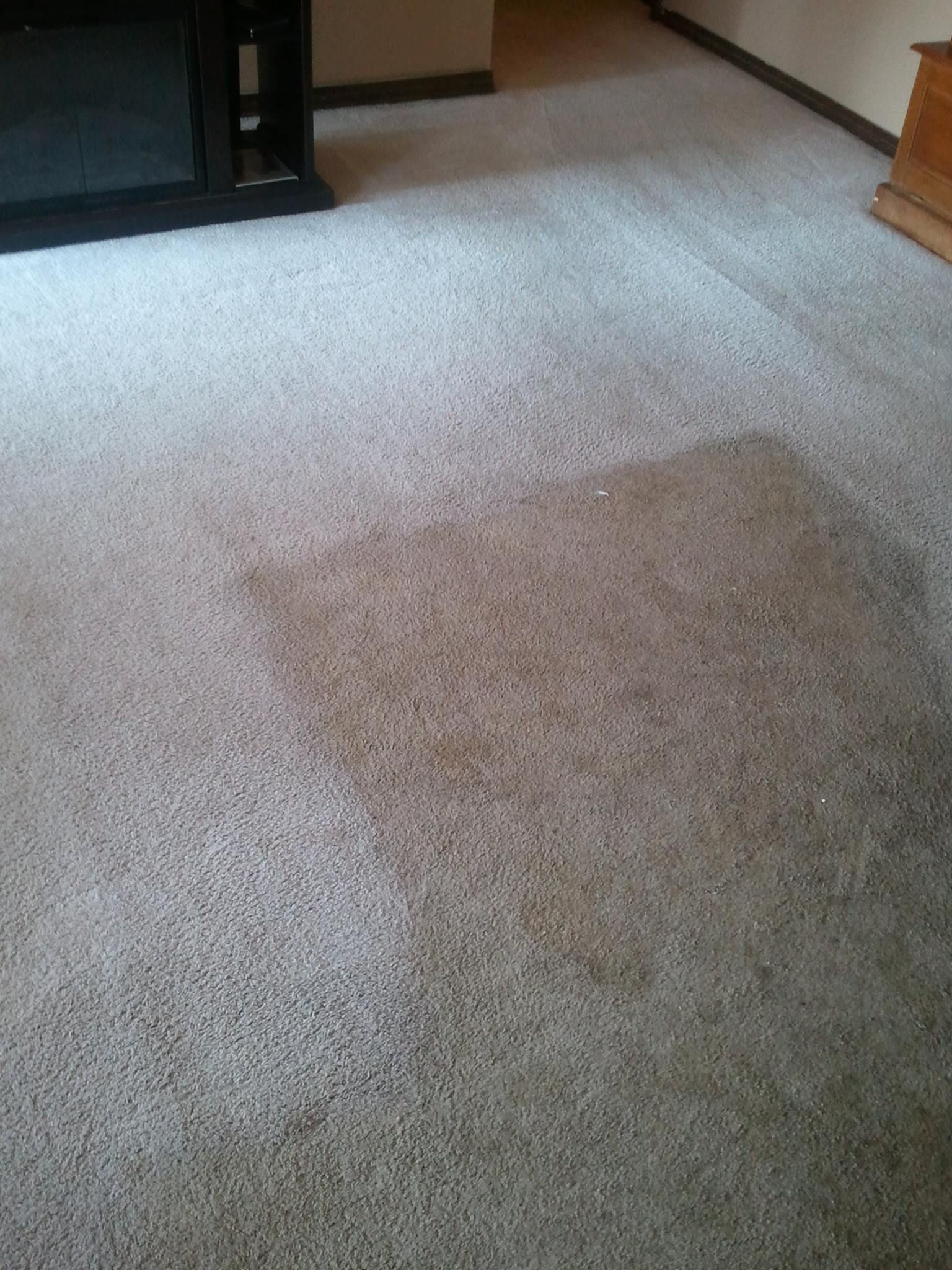 A living room with a carpeted floor and a fireplace.