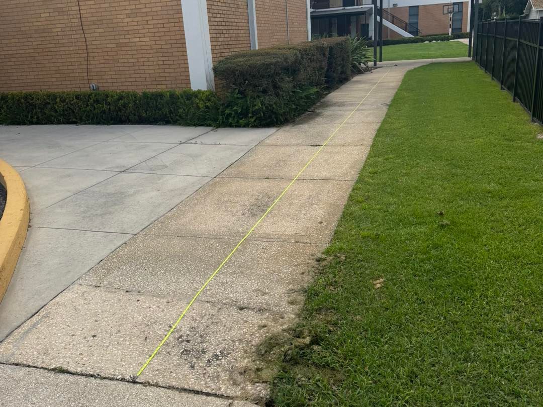 There is a yellow line on the sidewalk next to the grass.