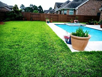 A backyard with a swimming pool and potted plants