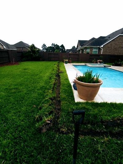 A backyard with a swimming pool and a potted plant in the middle of it.