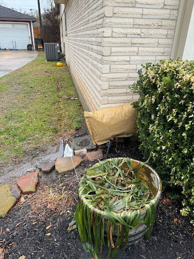 A bucket filled with grass is sitting in front of a house.