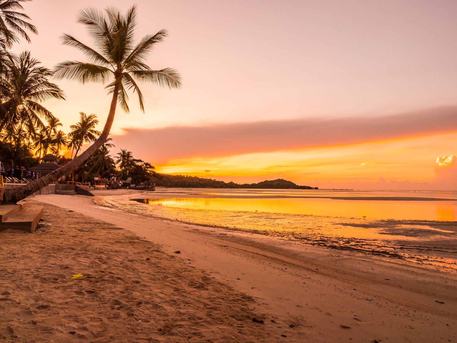 There is a palm tree on the beach at sunset.