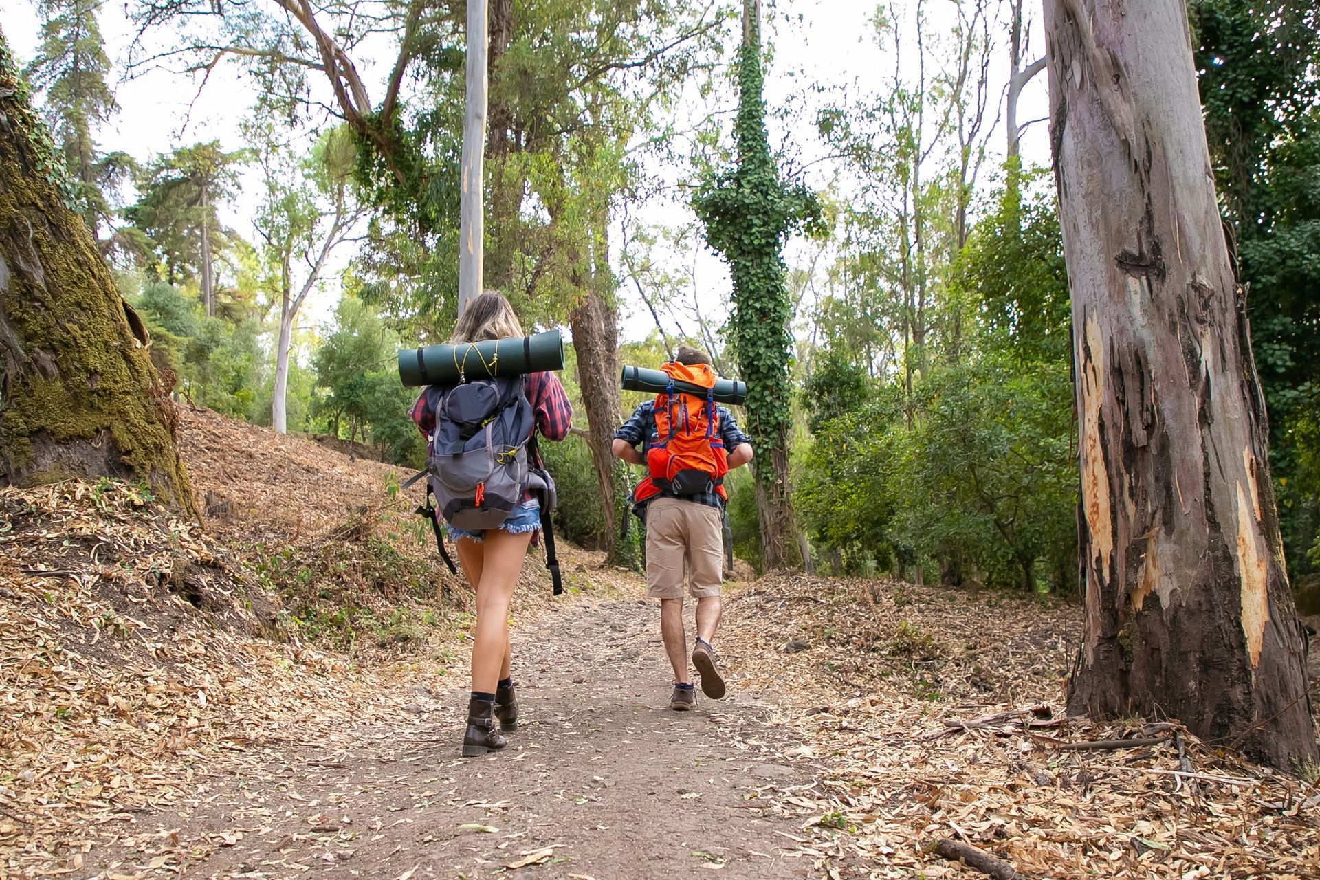 Two people with backpacks are walking down a path in the woods.