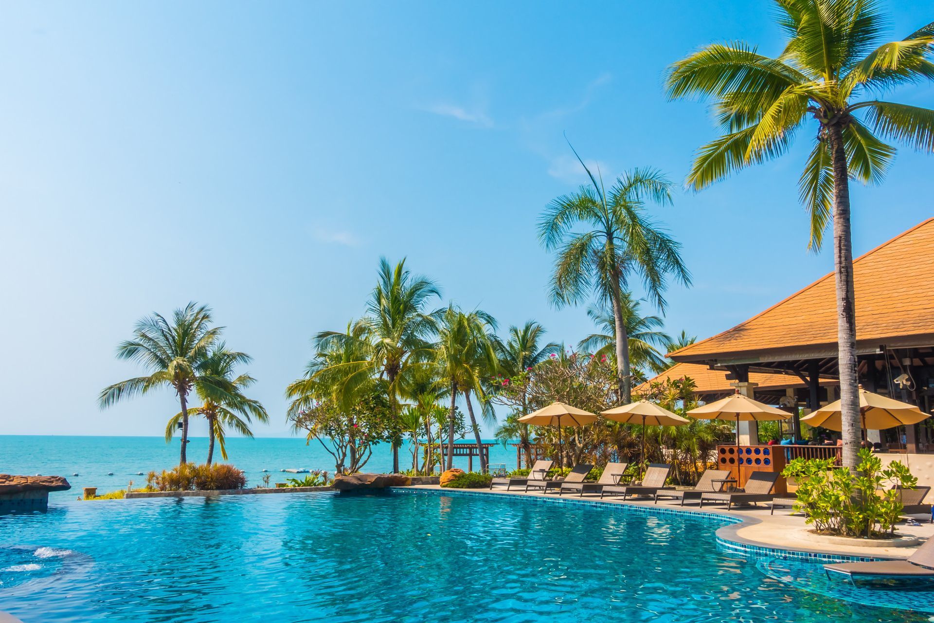 A large swimming pool surrounded by palm trees and chairs next to the ocean.