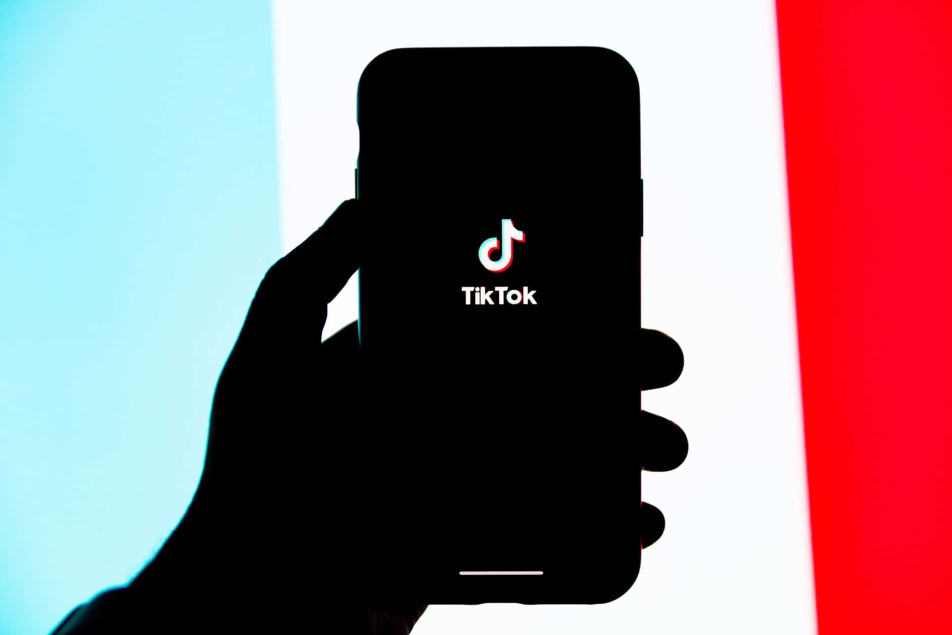 Usuarios de TikTok