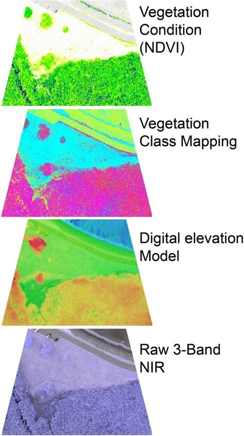 Vegetation Mapping