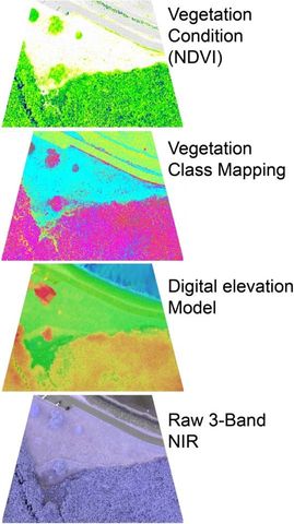 Vegetation Mapping
