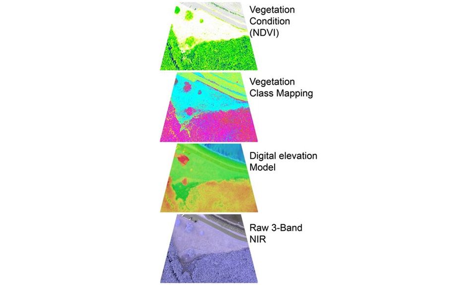 Vegetation Mapping image