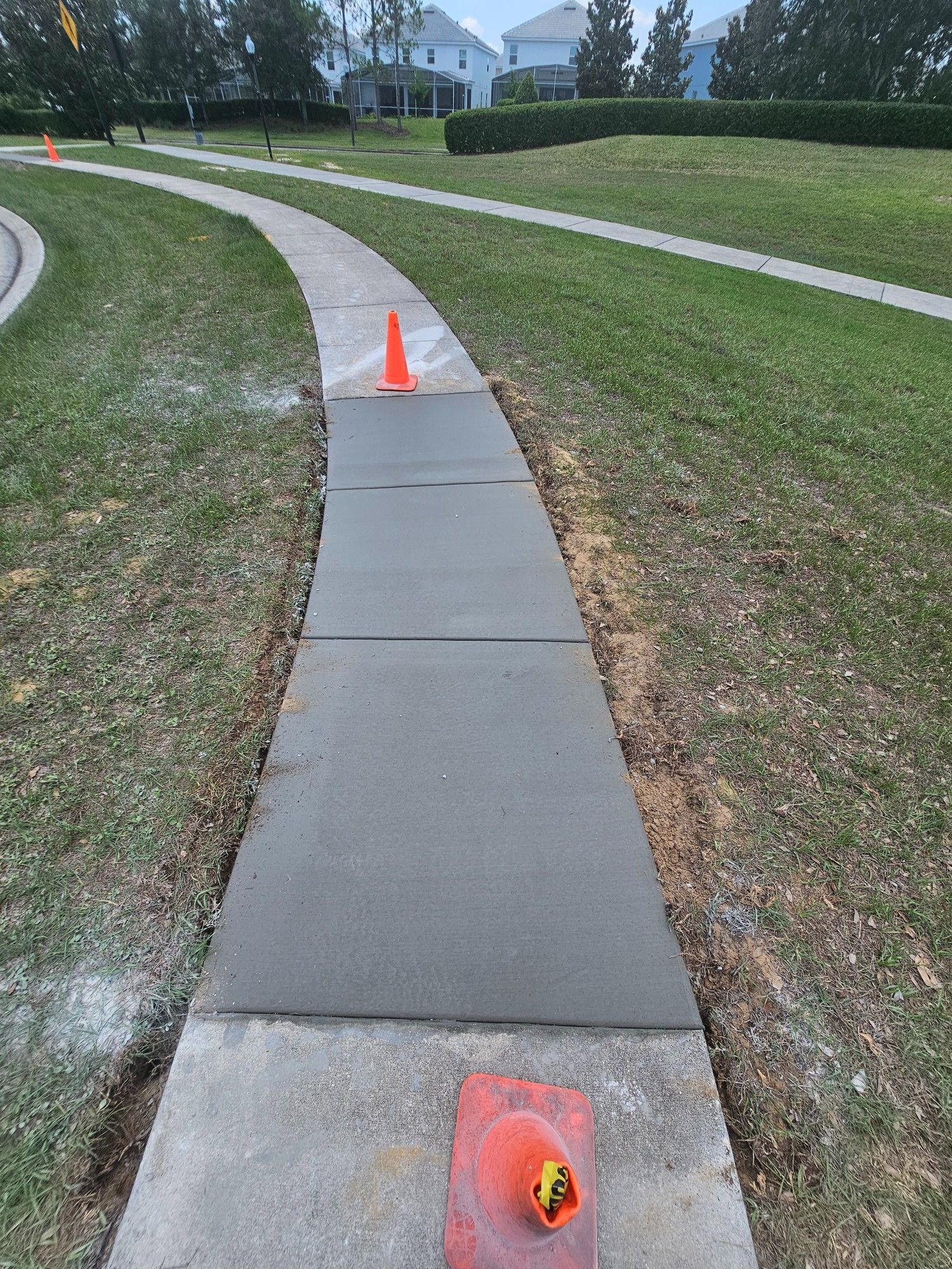 Fresh concrete sidewalk with orange cones, bordered by grass and a path in a neighborhood.
