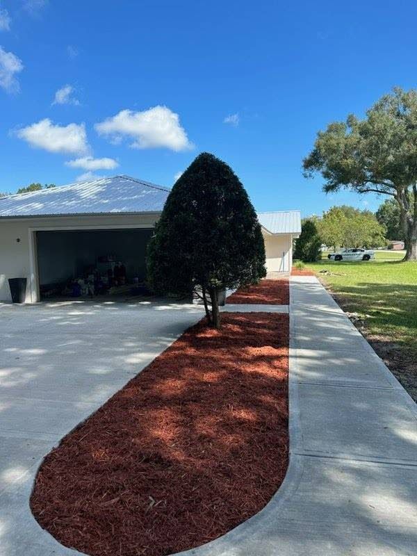 A tree is in the middle of a driveway next to a garage.