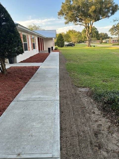 A concrete walkway leading to a house with a tree in the background