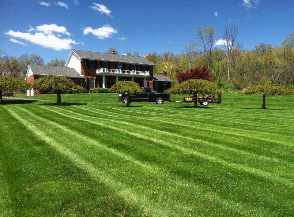Lawn mowed with stripes, house in background, a truck, trees, and blue sky with clouds.