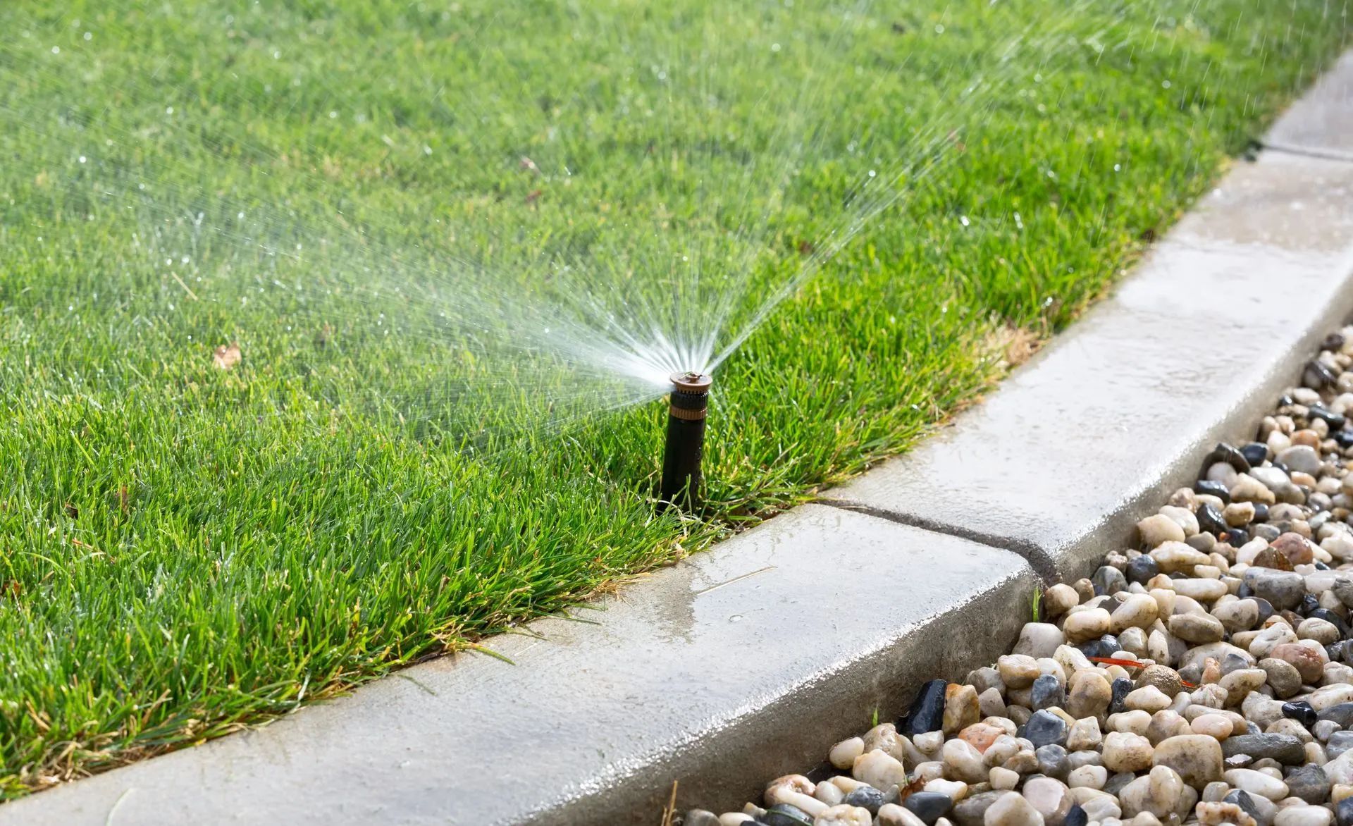 Sprinkler watering green lawn next to a concrete curb and gravel.