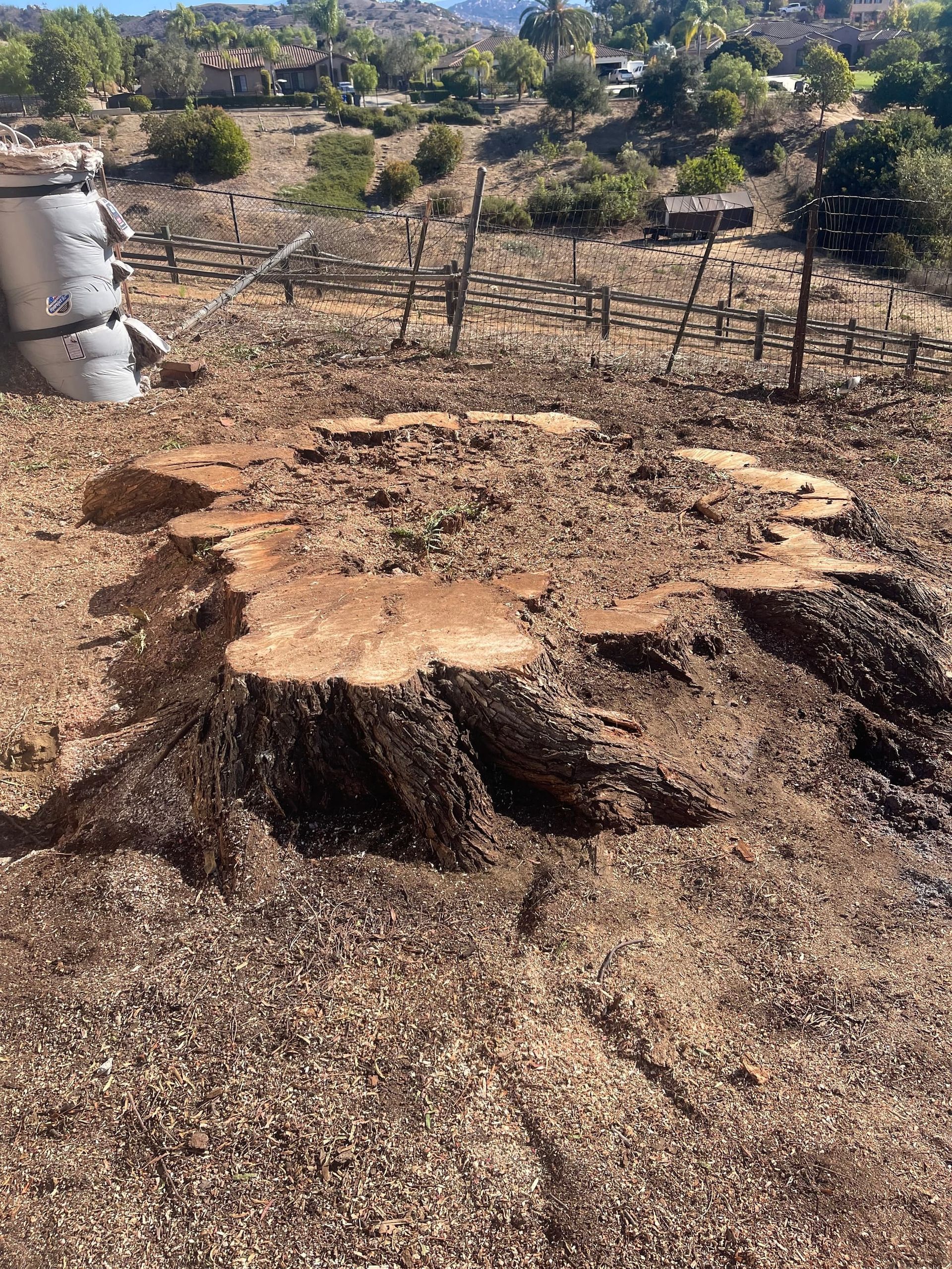 A large tree stump in a dry, rocky landscape, with a fence and houses in the background under a bright sky.