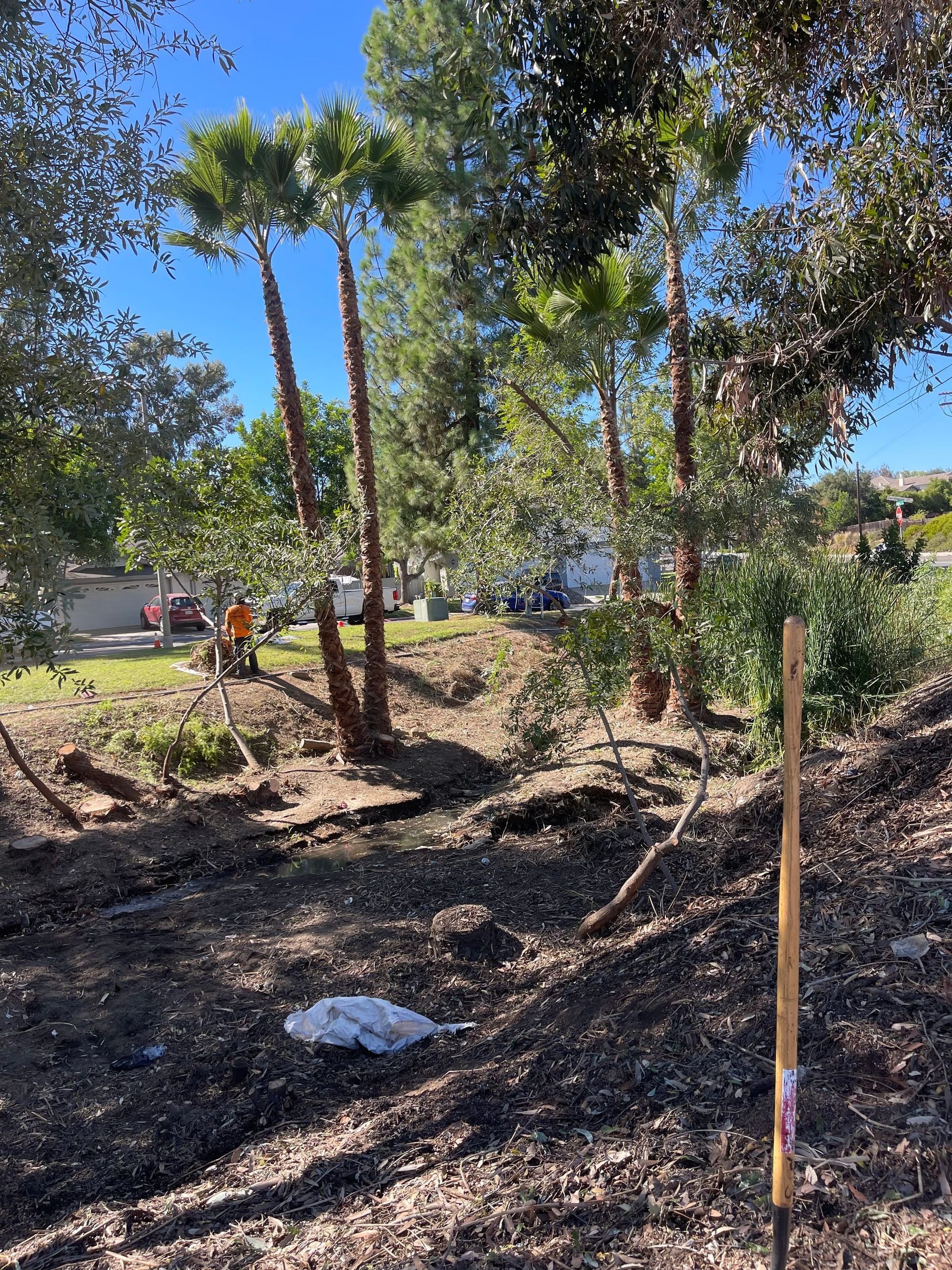 A sunny outdoor scene shows recently cleared land in the foreground, with palm trees and workers in the background.