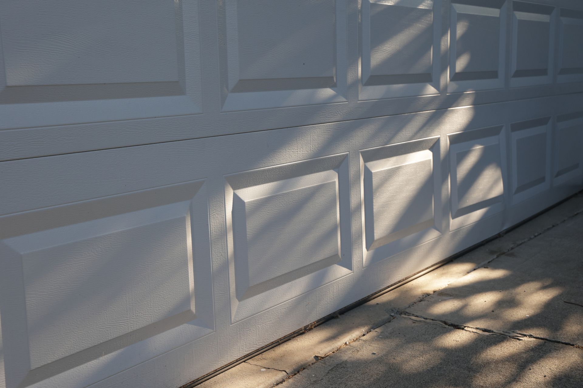 The shadow of a tree is cast on a white garage door.
