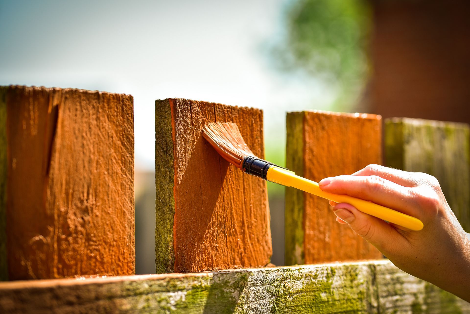 A person is painting a wooden fence with a brush.