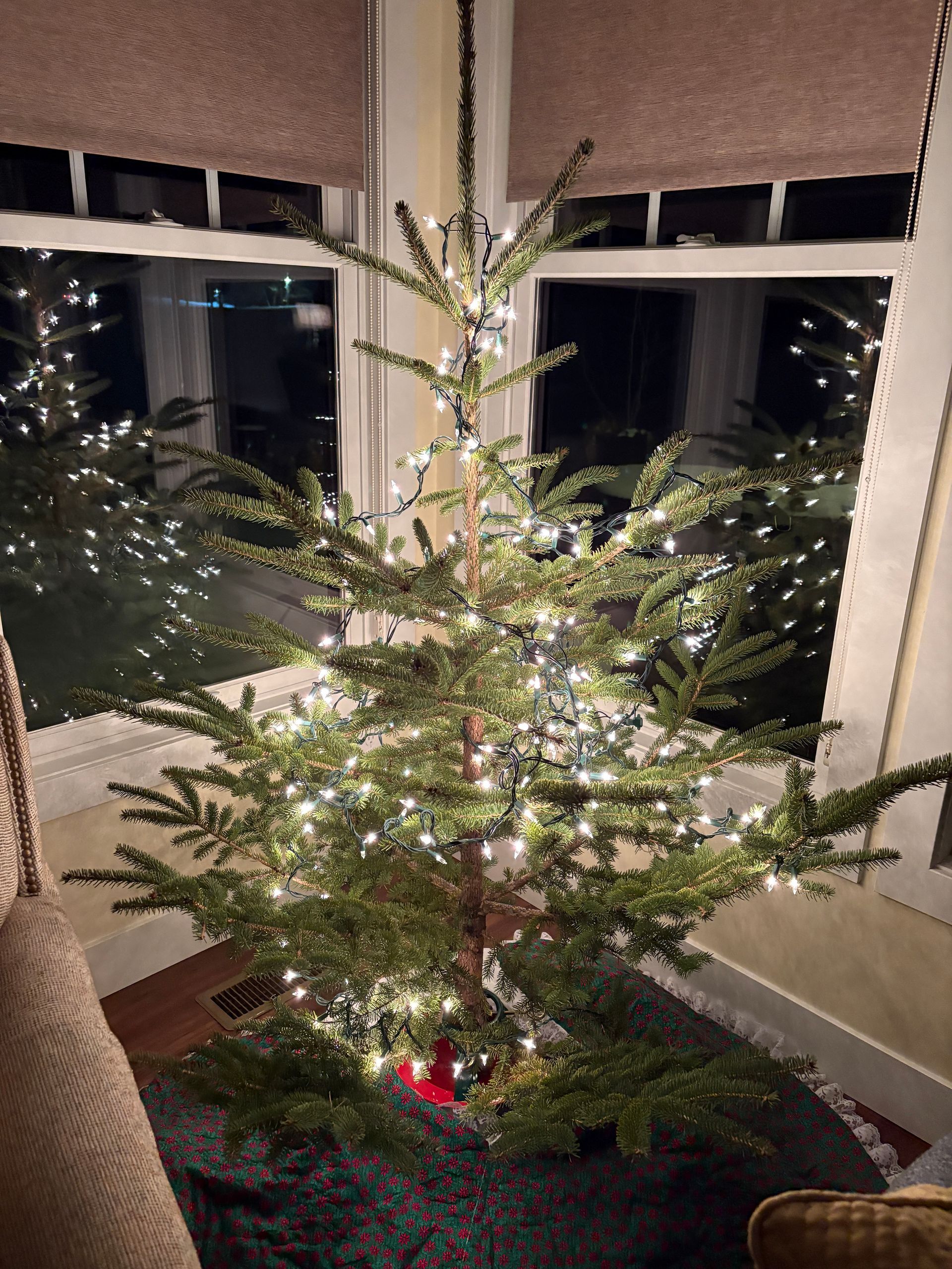 Christmas tree with white lights in front of a window, indoors.