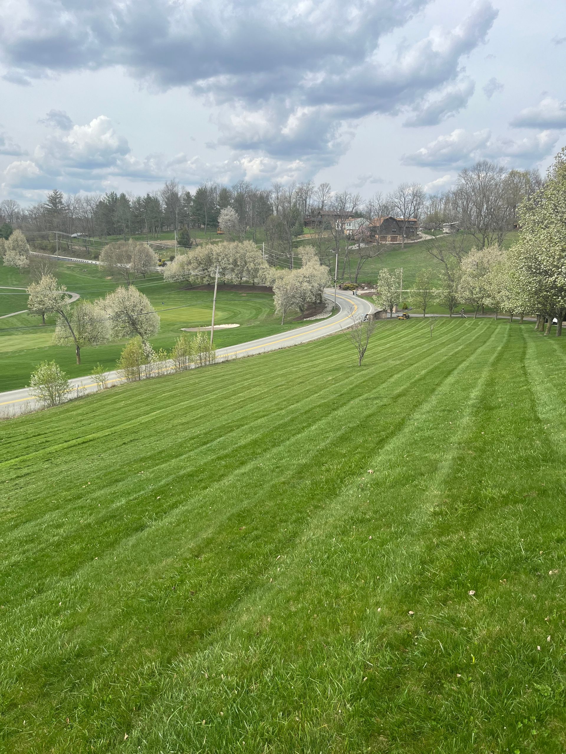 Commercial Landscape Maintenance South HIlls