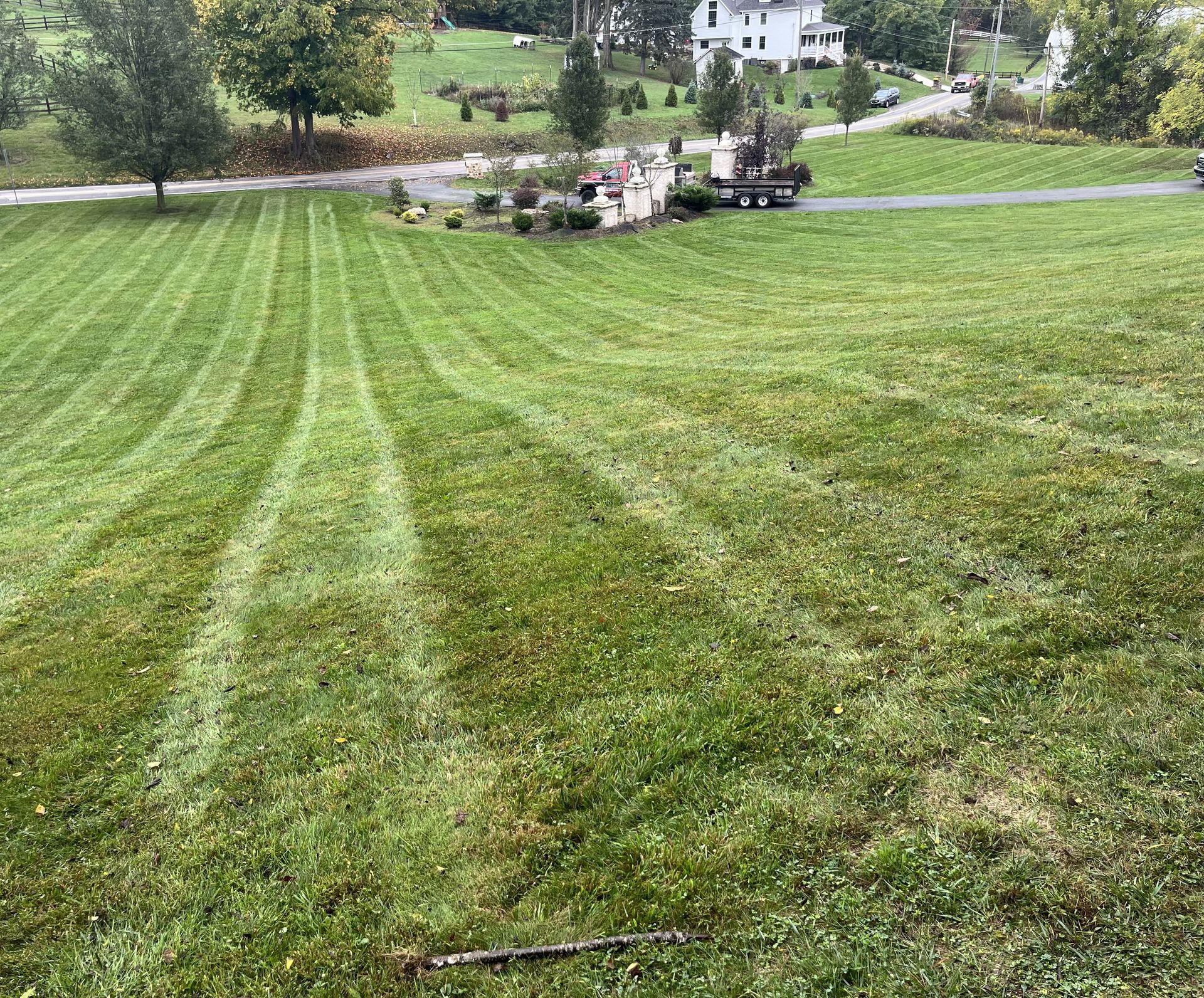 Commercial Landscape Maintenance Packages