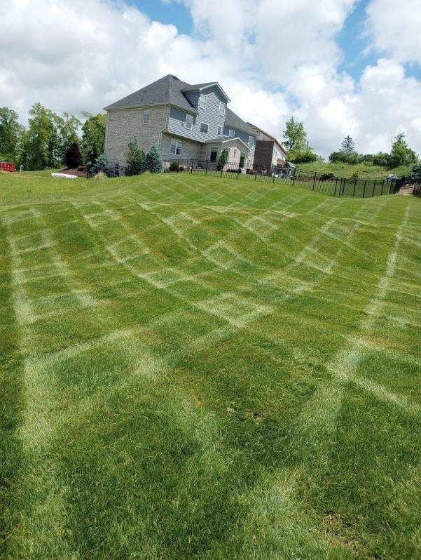 A large lush green lawn with a house in the background.
