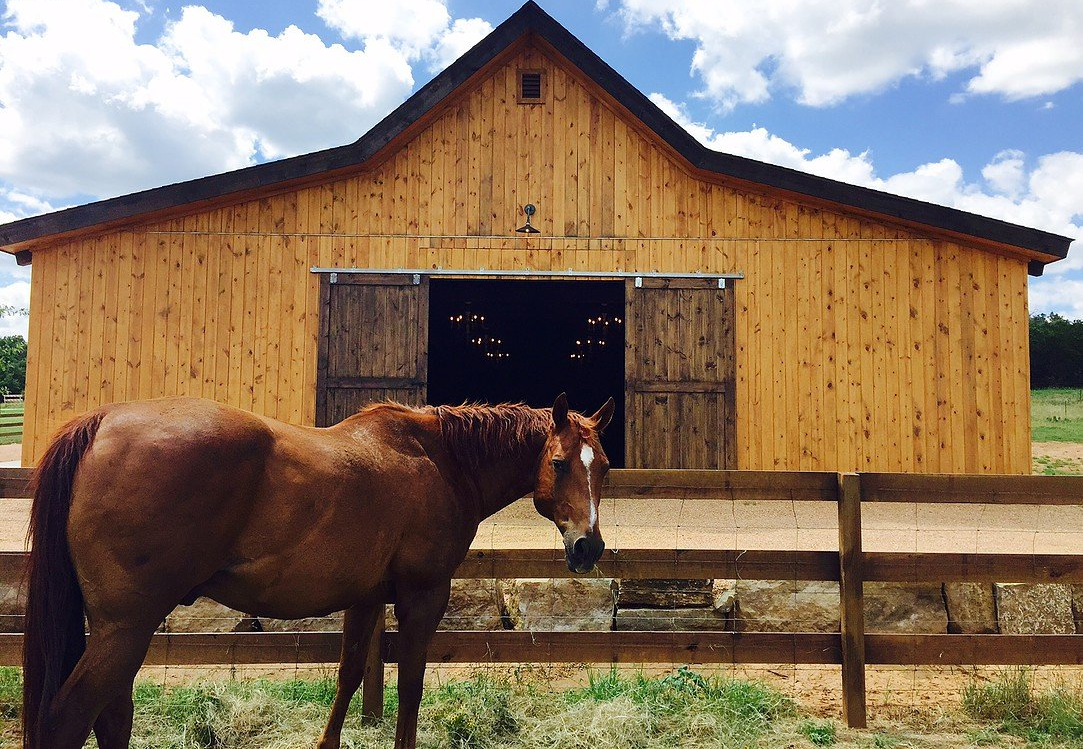 Property Management Shingle Roof Installation  Austin Roofing and Construction
