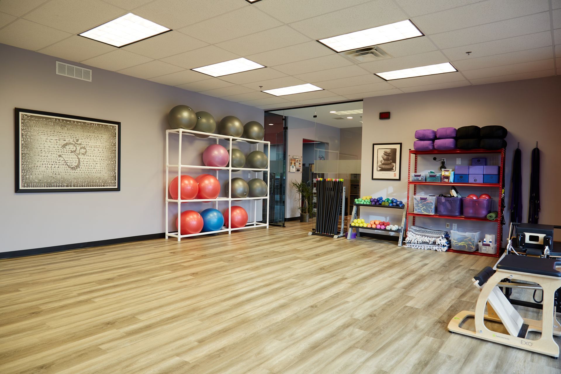 A large room with a lot of exercise balls on shelves.