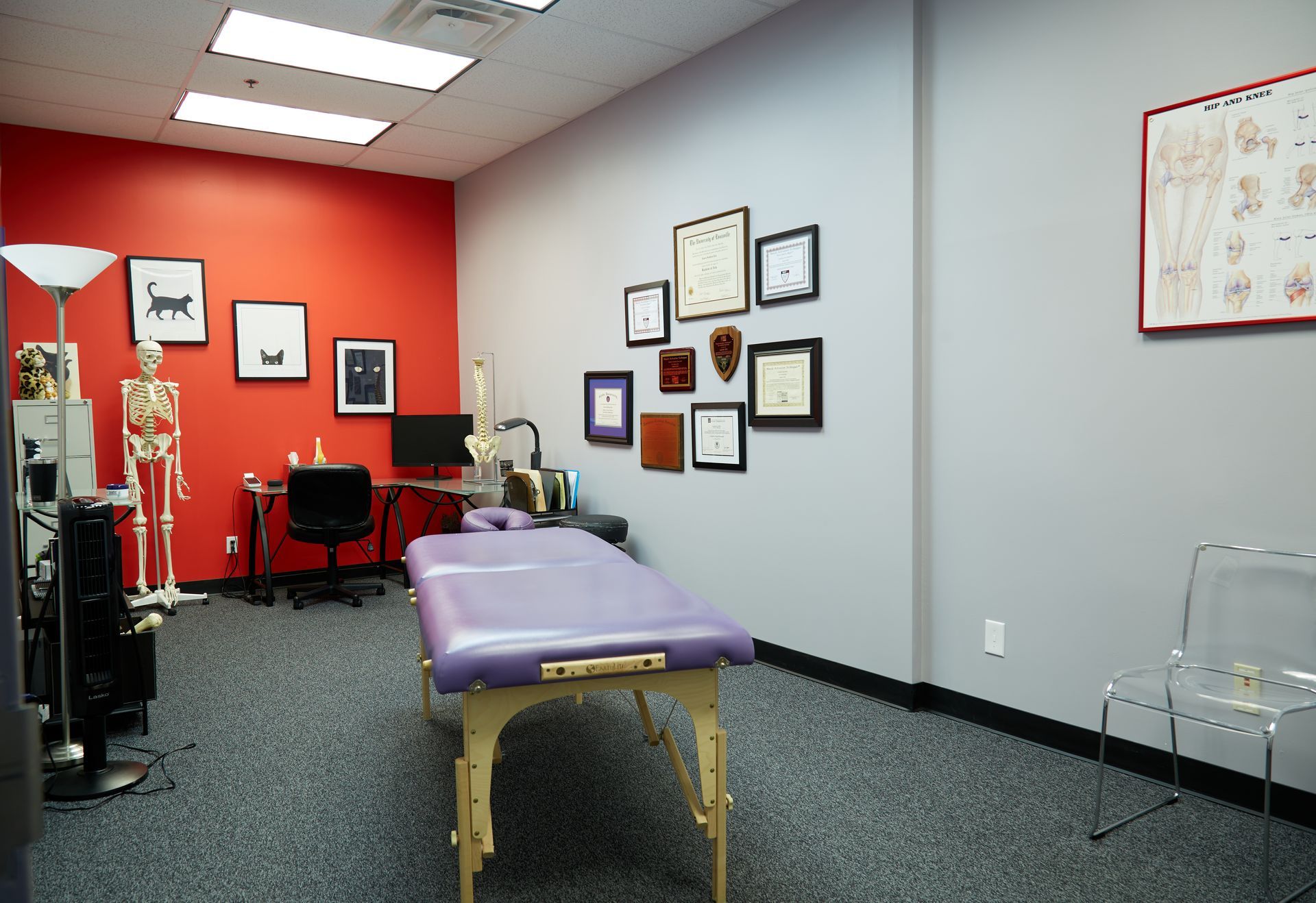 A room with a purple table and a skeleton on the wall