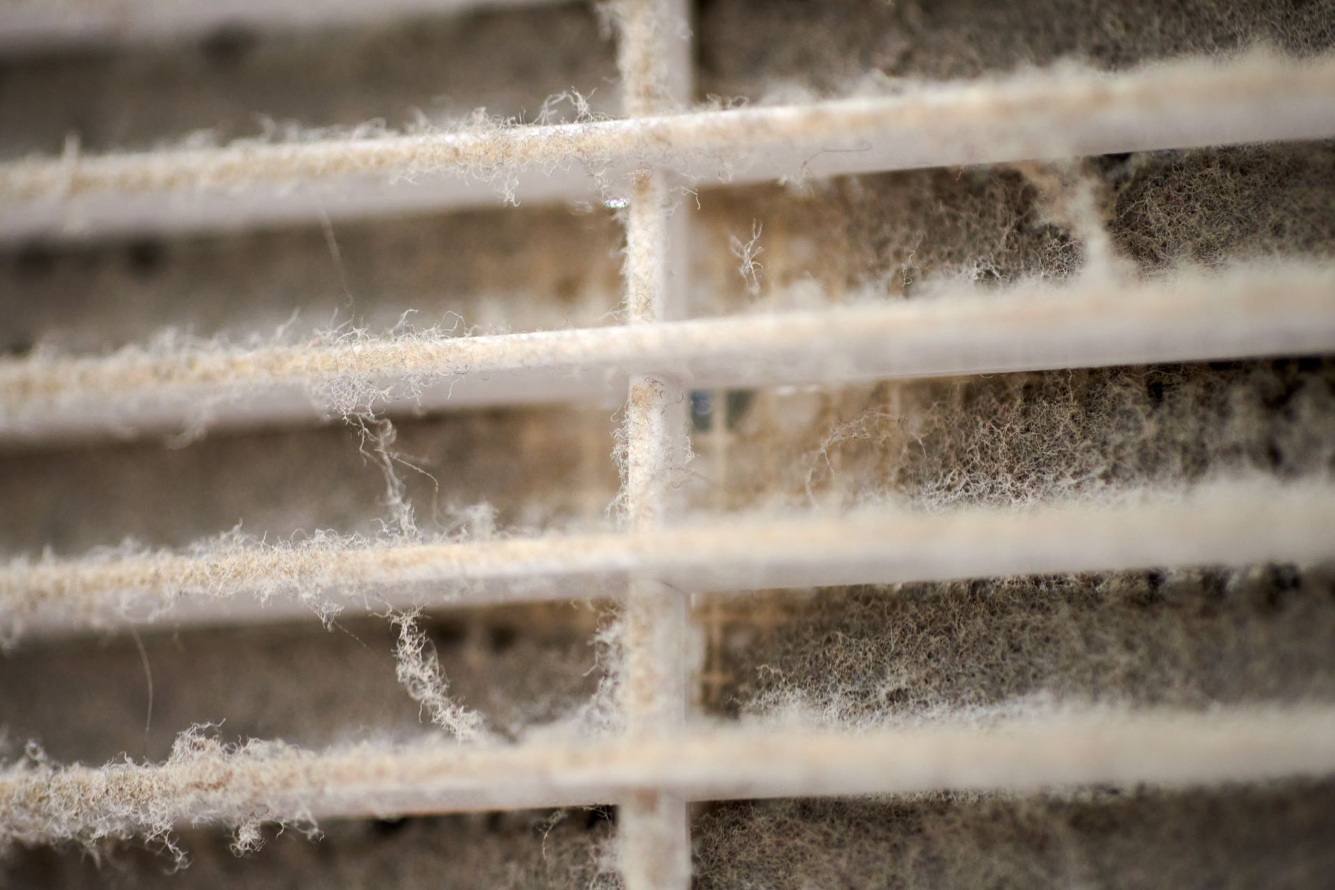 A close up of a dirty air vent with a lot of dust on it.