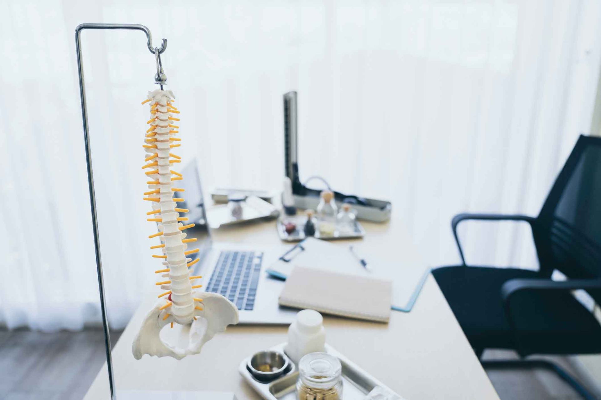 A Model Of A Spine Is Sitting On A Desk Next To A Laptop – Dunbar, WV - Smith & Jones Chiropractic