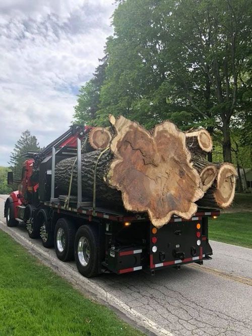 Black And Red Truck | Chardon, OH | Montgomery Tree & Stump Removal