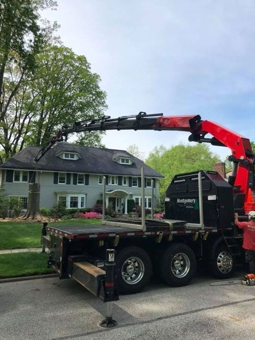 A Truck Cutting Tree Stump | Chardon, OH | Montgomery Tree & Stump Removal