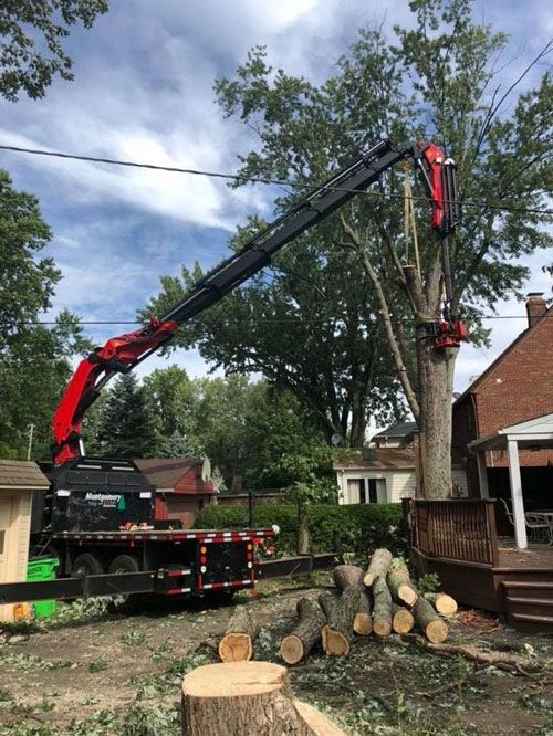 Photos | Chardon, OH | Montgomery Tree & Stump Removal