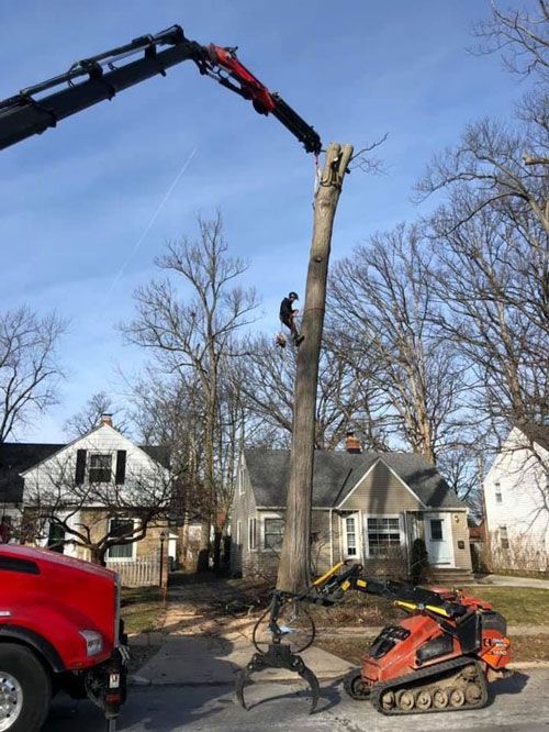 Photos | Chardon, OH | Montgomery Tree & Stump Removal